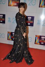 Genelia D Souza at Zee Awards red carpet in Mumbai on 6th Jan 2013 (105).JPG